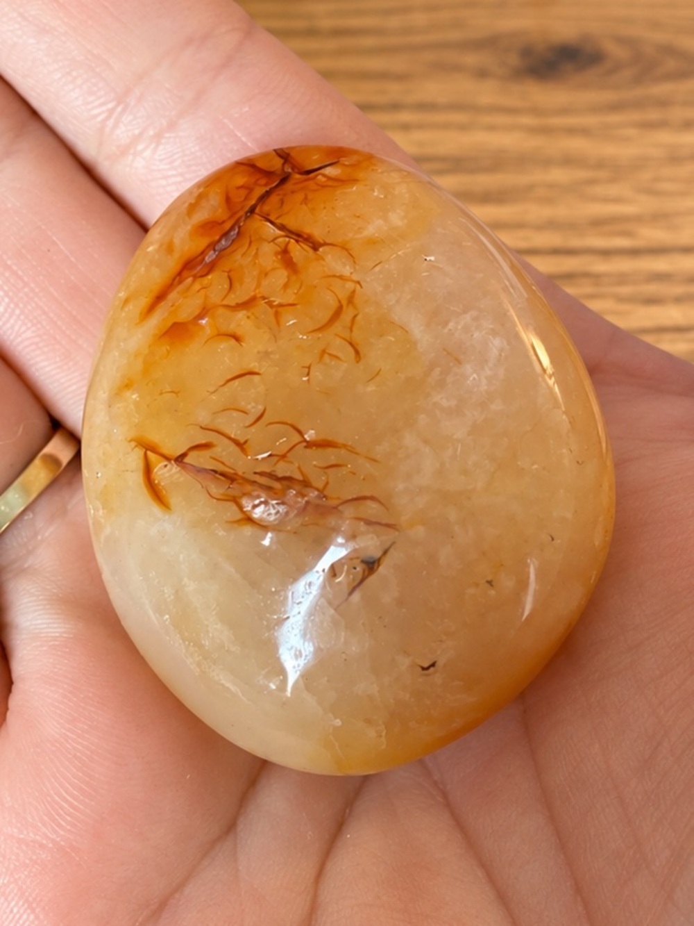 Natural Banded Carnelian Agate Palm Stone Honey Amber Orange Inclusions 2”